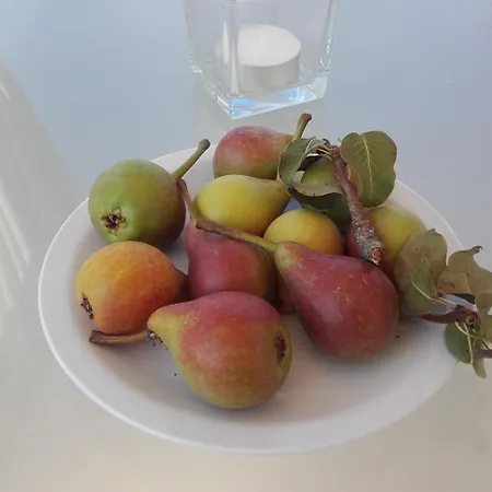 Masseria Centro Colonico