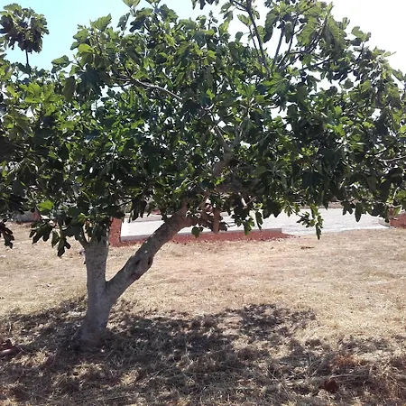 Masseria Centro Colonico Bed and Breakfast Torre San Giovanni Ugento