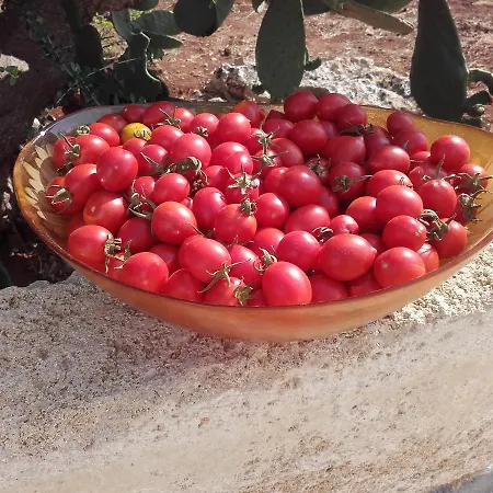 Bed & Breakfast Masseria Centro Colonico *