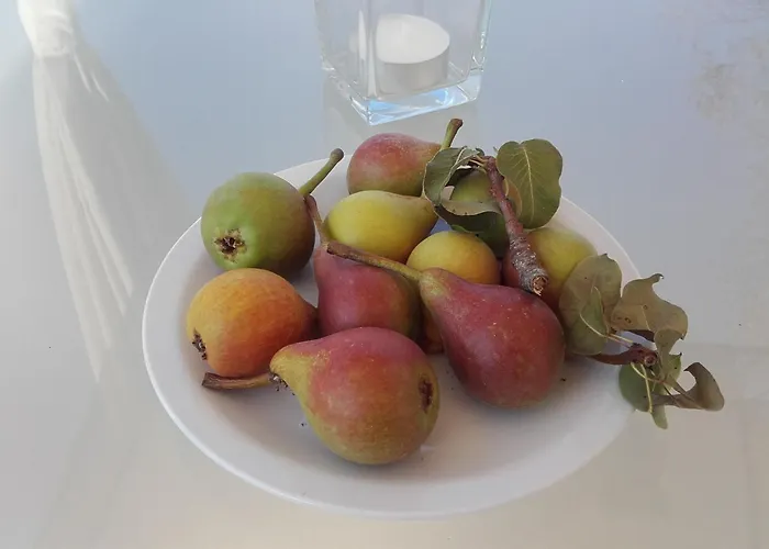 Masseria Centro Colonico