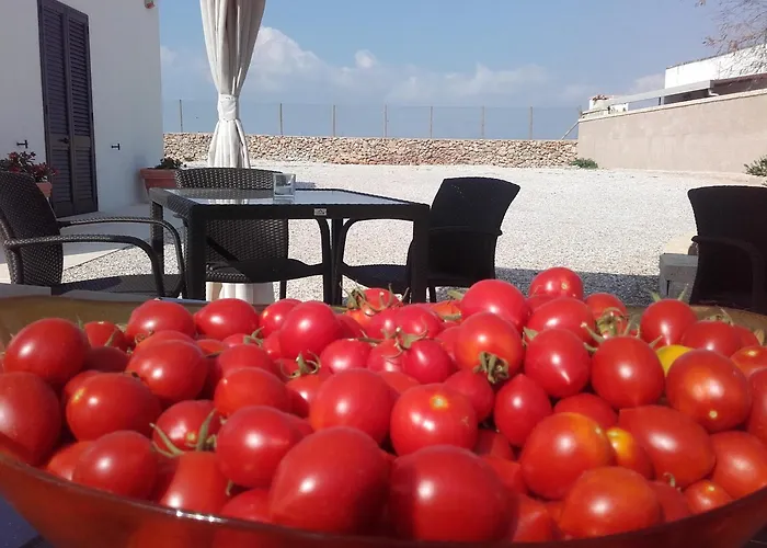 B&B Masseria Centro Colonico