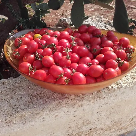 Masseria Centro Colonico توري سان جيوفاني أوغينتو